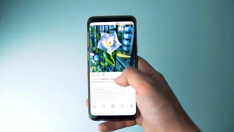 Timeline Instagram 4K Stock Footage 121490957