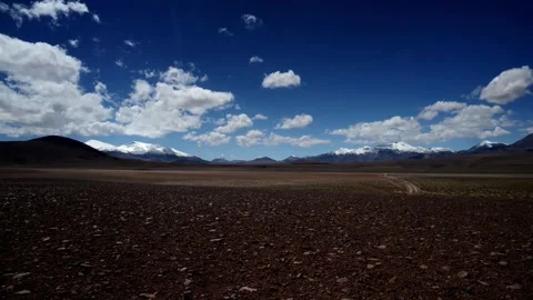 Timelpase of Clouds in the Andean Sky with Herd of Vicuna Stock Footage 275504781