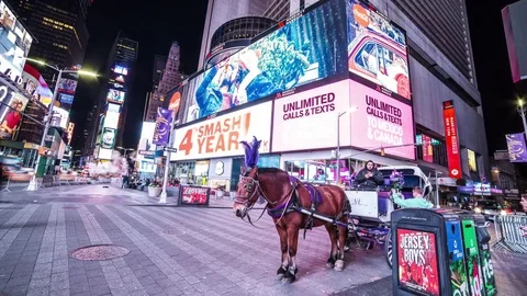 Times Square Horse Stock Footage 83526064