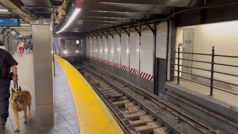 Times Square Shuttle Train Arrives at Platform, Seen From End of Platform Video stock 347895091