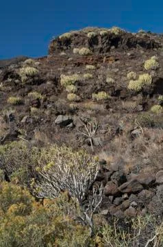 Timijiraque Protected Landscape. Stock Photos