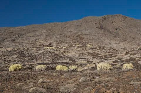 Timijiraque Protected Landscape. Stock Photos