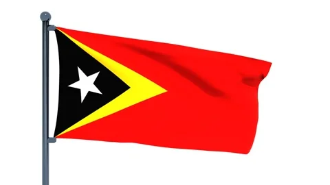 Timor-Leste Flag Video stock 150541203