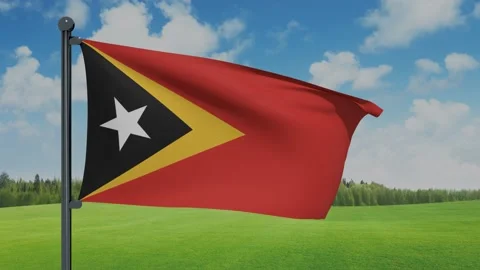 Timor-Leste Flag Video stock 153256358
