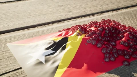 Timor-Leste Flag - Virus Growth Stock Footage 320284008