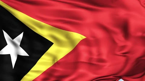 Timor-Leste Waving Flag Background Stock Footage 204135440