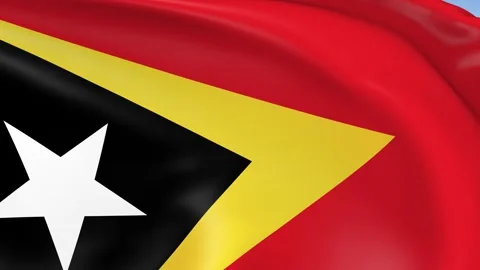 Timor-Leste Waving Flag Background Loop Stock Footage 317843425