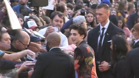 Timothee Chalamet giving autographs to his fans at BFI London Film Festival 2018 Stock Footage 101190872