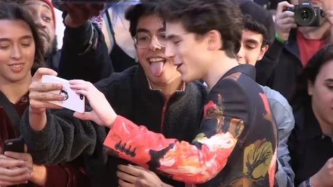 Timothee Chalamet interacting with fans at BFI London Film Festival 2018 Stock Footage 101190894