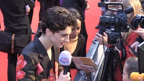 Timothee Chalamet interacting with media at BFI London Film Festival 2018 Stock Footage 101190861