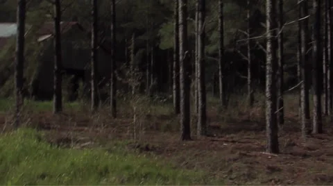 Tin Barn Video stock 25999531