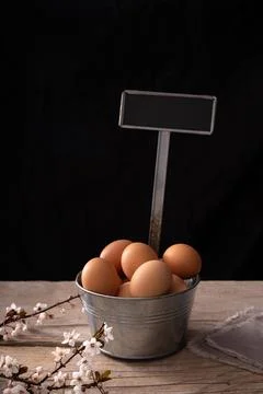 Tin bucket with eggs Stock Photos