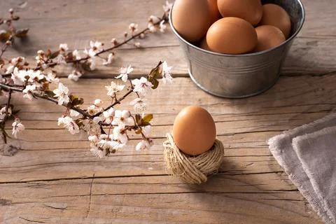 Tin bucket with eggs 스톡 사진