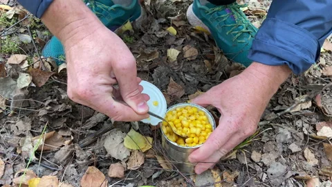 Tin can of corn while hiking in forest. Opening a metal can with corn. Stock Footage 221137674