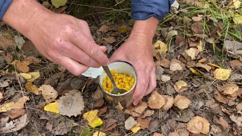 Tin can of corn while hiking in forest. Opening a metal can with corn. Stock Footage 221137824