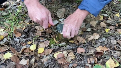 Tin can of corn while hiking in forest. Opening a metal can with corn. Stock Footage 221138069