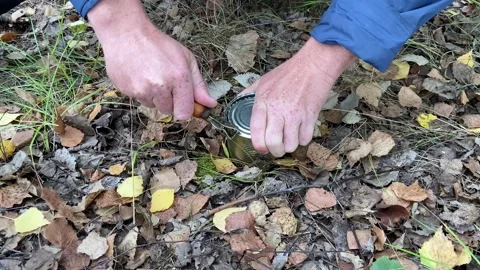 Tin can of corn while hiking in forest. Opening a metal can with corn. Stock Footage 221138308