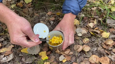 Tin can of corn while hiking in forest. Opening a metal can with corn. Stock Footage 221138776