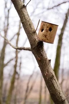 A tin can is hanging on a tree.old rusty brown tin can hanging on a tree bran Stock Photos