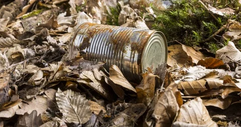 Tin can waste on forest floor closeup 스톡 동영상 105416592