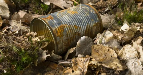 Tin can waste on forest floor closeup Stock Footage 105418858