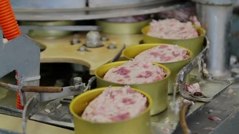 Tin cans filled with meat moving along the conveyor Stock Footage 94155362