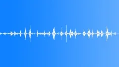 Tin Coins Foley Metal - Nova SoundSound Effect