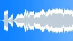 Tin Flute Sting 1 Sound Effect