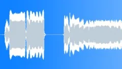 Tin Flute Sting 3 Sound Effect