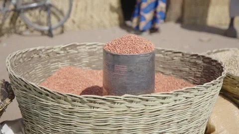Tin of lentils at a market Stock Footage 341342679
