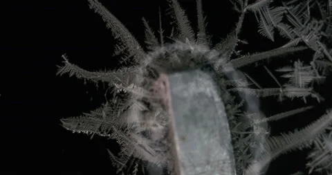 Tin metal element forming process under microscopy 4k timelapse video Stock Footage 116791504