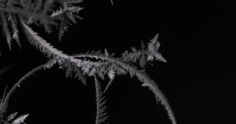 Tin metal element forming process under microscopy 4k timelapse video Stock Footage 116791552