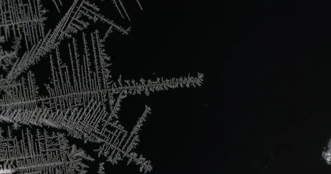 Tin metal element forming process under microscopy 4k timelapse video Stock Footage 116791599