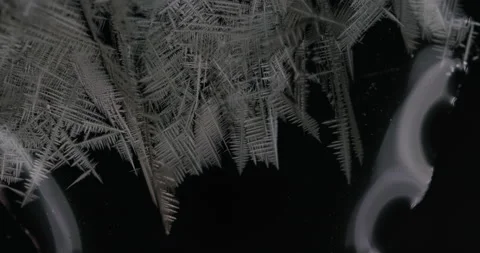 Tin metal element forming process under microscopy 4k timelapse video Stock Footage 116791767