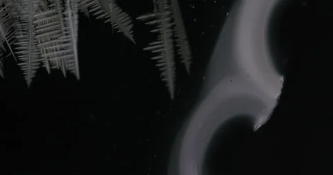 Tin metal element forming process under microscopy 4k timelapse video Stock Footage 116791854