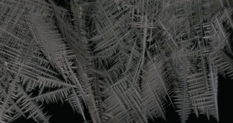 Tin metal element forming process under microscopy 4k timelapse video Stock Footage 116791900