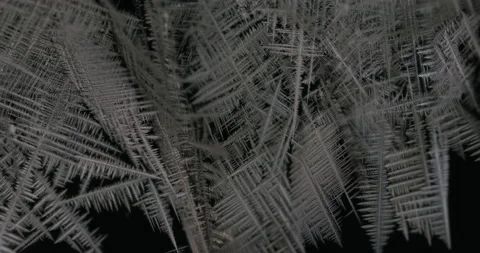 Tin metal element forming process under microscopy 4k timelapse video Stock Footage 116791932