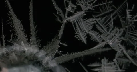 Tin metal element forming process under microscopy 4k timelapse video Stock Footage 116791974