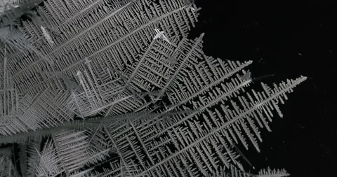 Tin metal element forming process under microscopy 4k timelapse video Stock Footage 116792025