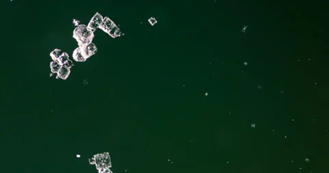 Tin metal element forming process under microscopy 4k timelapse video Stock Footage 116880139