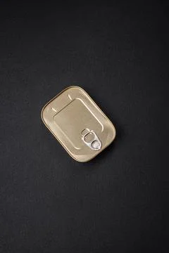 Tin or aluminum rectangular can of canned food with a key 스톡 사진