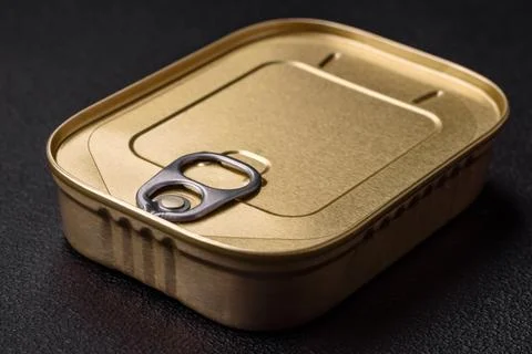 Tin or aluminum rectangular can of canned food with a key 写真素材