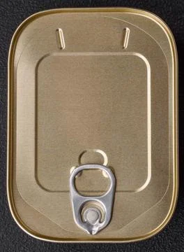 Tin or aluminum rectangular can of canned food with a key Stockfoto's