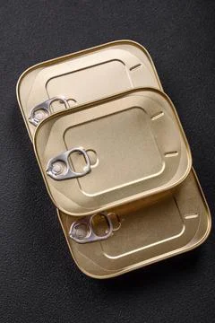 Tin or aluminum rectangular can of canned food with a key 스톡 사진