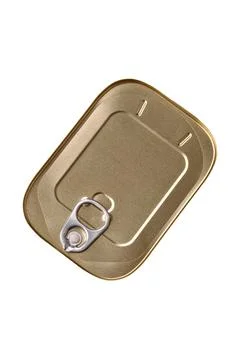 Tin or aluminum rectangular can of canned food with a key Stockfoto's