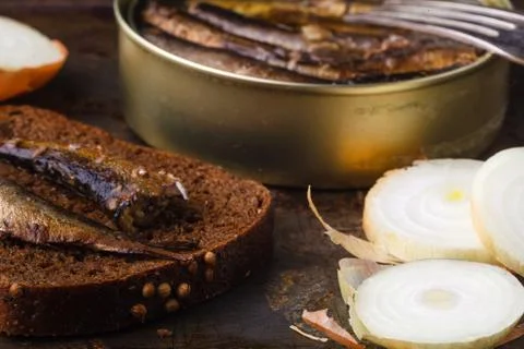 Tin sardine on dard background with bread Foto stock