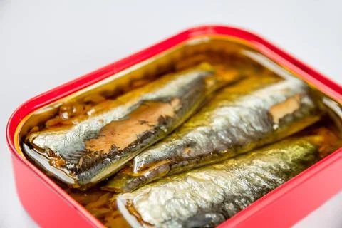 Tin of sardines in oil on white background Stock Photos