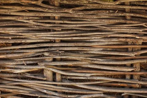 Tin of tree branches background Stock Photos