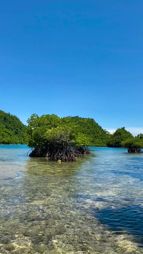 Tinago Island in the Philippines. Stock Footage 252872822