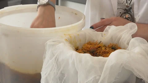 Tincture and squeezing of juice from medicinal plants Stock Footage 157969983
